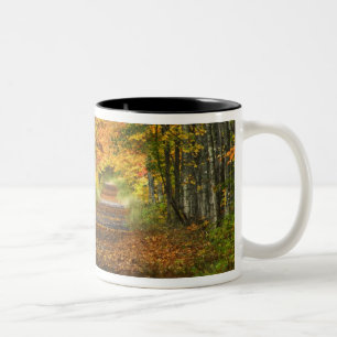 Tasse 2 Couleurs États-Unis, Michigan, Upper Peninsula. Route d'acc