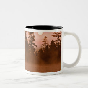 Tasse 2 Couleurs États-Unis, New York, Adirondack Park. Lever de so