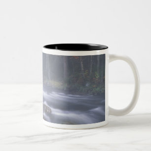 Tasse 2 Couleurs États-Unis, New York, Adirondacks, Big Moose River