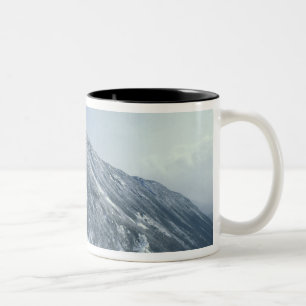 Tasse 2 Couleurs États-Unis, NH, Arbres couverts de neige Sentiers