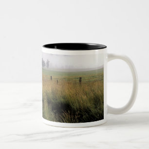 Tasse 2 Couleurs États-Unis, Tennessee, Grandes montagnes fumées