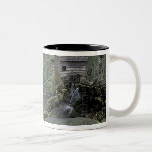 Tasse 2 Couleurs États-Unis, Tennessee, Great Smoky Mountains Nati
