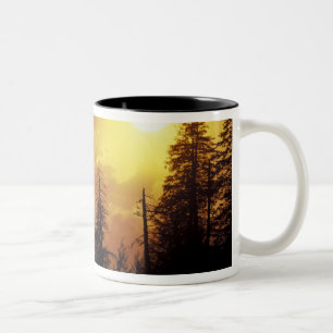 Tasse 2 Couleurs États-Unis, Tennessee, Great Smoky Mountains NP.2