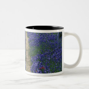 Tasse 2 Couleurs États-Unis, Texas, près de Marble Falls, Traces en