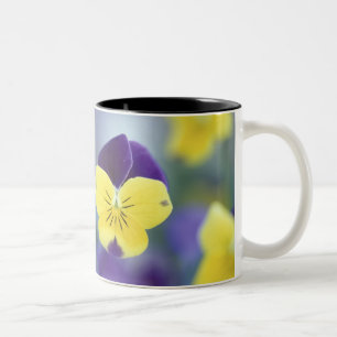 Tasse 2 Couleurs États-Unis, Utah, Cache Valley Détail d'un Johnny