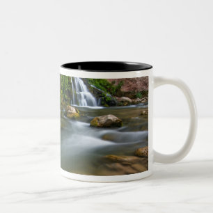 Tasse 2 Couleurs États-Unis, Utah, parc national de Zion. La Vierge