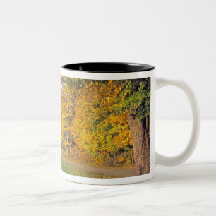 Tasse 2 Couleurs États-Unis, Vermont, Jenne Farm. L'automne arrive 