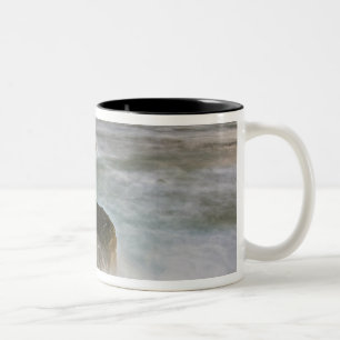 Tasse 2 Couleurs États-Unis, Washington, îles San Juan.  Crash de