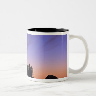 Tasse 2 Couleurs États-Unis, Washington, Parc national olympique, 