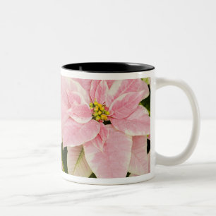 Tasse 2 Couleurs États-Unis, Washington, Woodinville, Molbak's Nur
