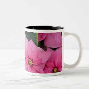 Tasse 2 Couleurs États-Unis, Washington, Woodinville, Molbak's Nur