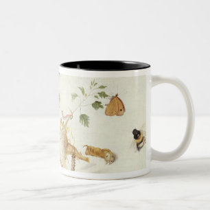 Tasse 2 Couleurs Étude des insectes et des fleurs