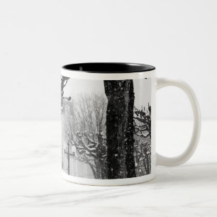 Tasse 2 Couleurs Europe, Autriche, Salzbourg. Hiver,