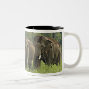 Tasse 2 Couleurs Famille d'éléphants indiens