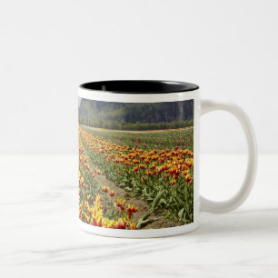 Tasse 2 Couleurs Ferme de tulipes près d'Agassiz, Colombie-Britanni
