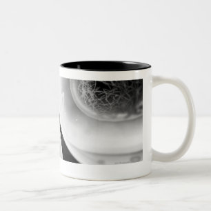 Tasse 2 Couleurs Fermez-vous vers le haut du regard à la division