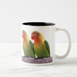 Tasse 2 Couleurs Fischer's Lovebird