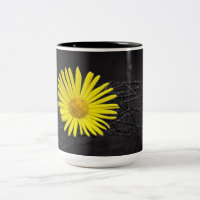 Fleur jaune