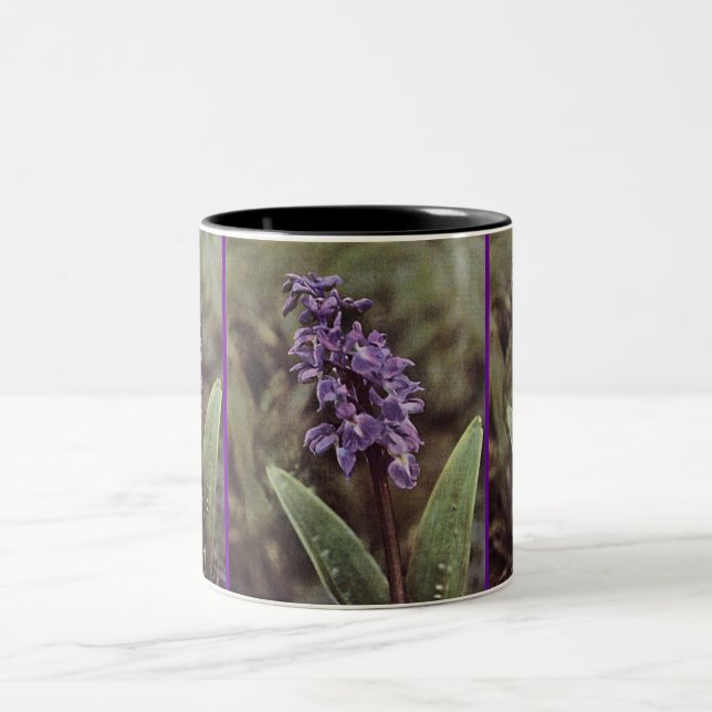 Tasse 2 Couleurs Fleur sauvage : Orchidées violettes précoces (Centre)