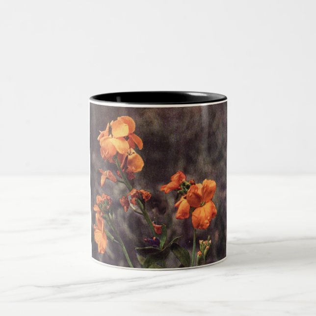 Tasse 2 Couleurs Fleur sauvage : Wallflower (Centre)