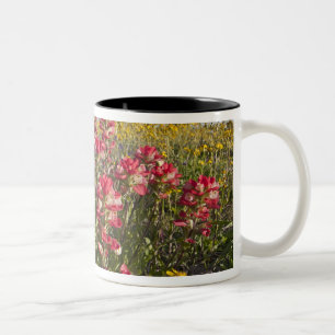 Tasse 2 Couleurs fleurs sauvages de la route au Texas, printemps