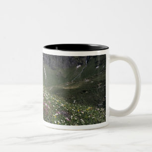 Tasse 2 Couleurs Fleurs sauvages, en fleurs, Alpes, Suisse