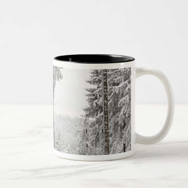 Tasse 2 Couleurs Forêt à feuillage persistant en hiver (Droit)