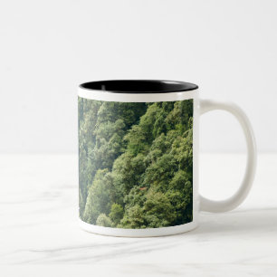 Tasse 2 Couleurs Forêt de l'Himalaya dans la vallée de Mangdue, Bho