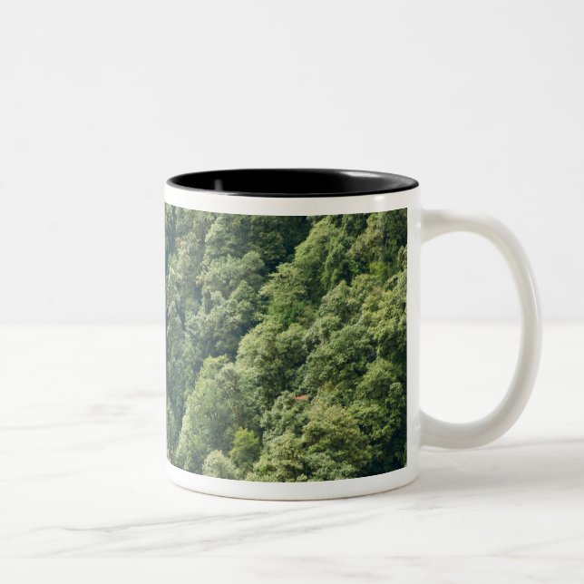 Tasse 2 Couleurs Forêt d'Himalaya dans la vallée de Mangdue, Bhouta (Droit)