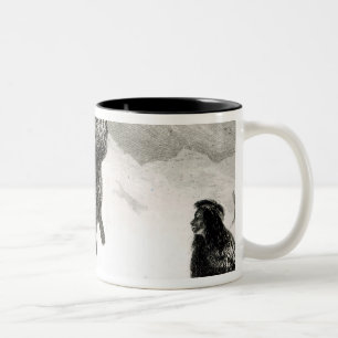 Tasse 2 Couleurs Fuegians allant commercer Zapallos