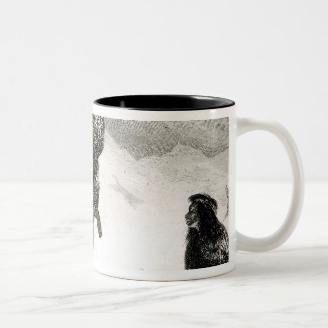 Tasse 2 Couleurs Fuegians allant commercer Zapallos (Droit)