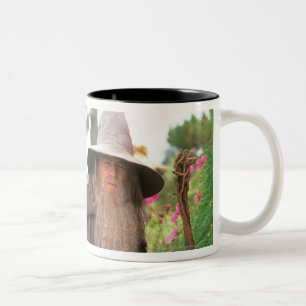 Tasse 2 Couleurs GANDALF™ avec le casquette