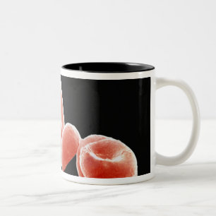 Tasse 2 Couleurs Globules rouges