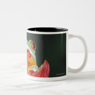 Tasse 2 Couleurs Grenouille d'arbre aux yeux rouges sur la feuille