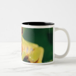 Tasse 2 Couleurs Grenouille d'arbre rouge d'oeil