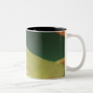 Tasse 2 Couleurs Grenouille d'arbre rouge d'oeil se reposant sur la