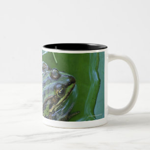 Tasse 2 Couleurs Grenouille de piscine, Amperauen, Allemagne