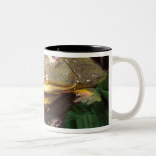 Tasse 2 Couleurs Grenouille-taureau africaine, Pyxicephalus 2