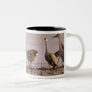 Tasse 2 Couleurs Grues du Canada Grus canadensis) Platte