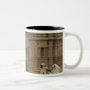 Tasse 2 Couleurs Hanuman Langurs ou noir, commun ou gris