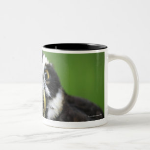 Tasse 2 Couleurs Hibou à lunettes (perspicillata de Pulsatrix)