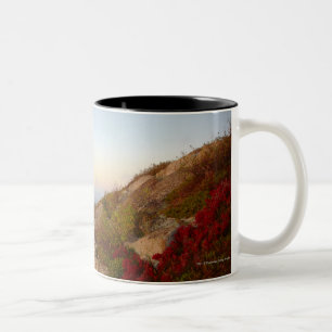 Tasse 2 Couleurs Hillside rocheux, fleurs rouges, parc national