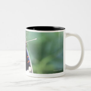 Tasse 2 Couleurs Hodokubo, Hino, Tokyo, Japon 4