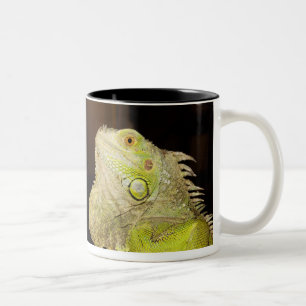 Tasse 2 Couleurs Iguane vert (iguane d'iguane)