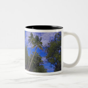 Tasse 2 Couleurs Îles Rocheuses Palaos