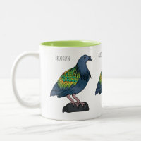 Illustration d'oiseau de pigeon de Nicobar