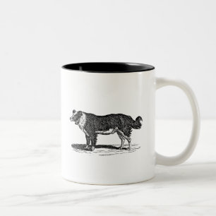 Tasse 2 Couleurs Illustration vintage de chien de border collie de