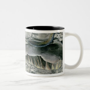 Tasse 2 Couleurs Illustrations de William Blake   du livre du