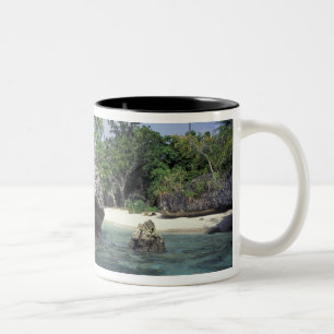 Tasse 2 Couleurs Indonésie. Formations rocheuses le long du rivage