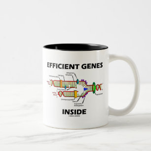 Tasse 2 Couleurs Intérieur efficace de gènes (reproduction d'ADN)